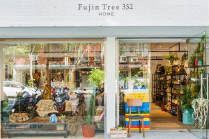 Fujin Tree HOME